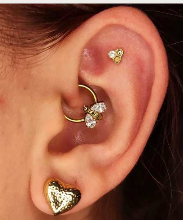 daith Ohrpiercing Ring mit Biene aus Gold