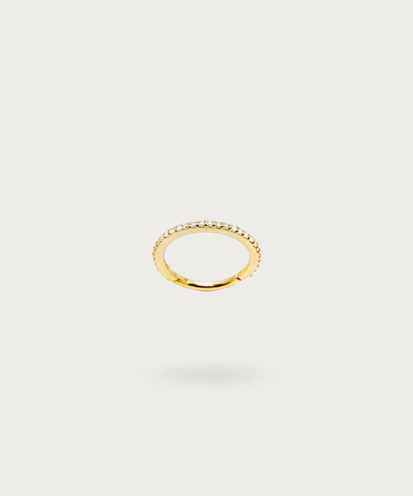 Gold Rook Ring Piercing