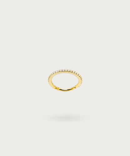 Gold Rook Ring Piercing