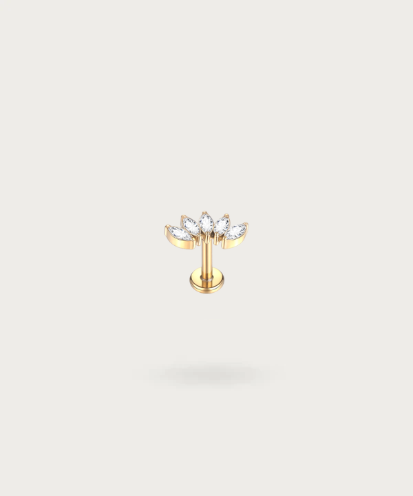 Titan-Piercing für Frauen mit Gold conch