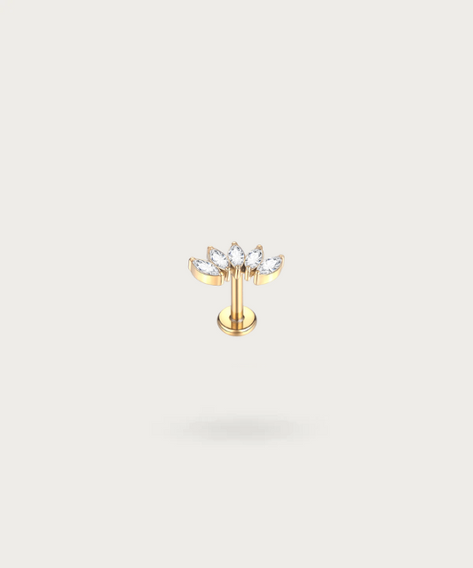 Titan-Piercing für Frauen mit Gold tragus